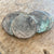 El Cazador Shipwreck - Un-conserved clump of nine 8 Reales Coins.
