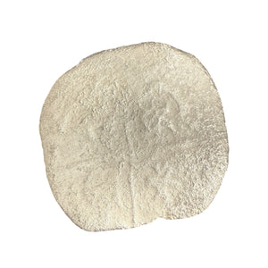 San Jose Shipwreck 1631 - 8 Reale - Grade 4