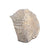 Atocha 1622 Shipwreck - 8 Reales - Grade 2