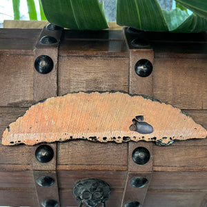 Atocha Shipwreck Copper - Ingot Slice #21 of 35 - Weight 384 grams