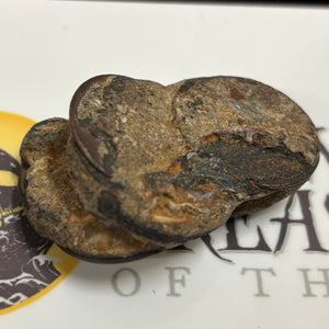 Admiral Gardner Shipwreck - East India Company Coin - Dated 1808 - (Rare Clump of 6 to 10 coins)