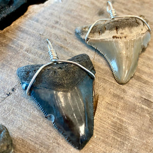 Assorted Megaladon Pendants Wrapped in Sterling Silver - Shipwreck  Treasures of the Keys
