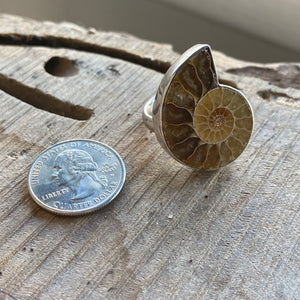 Sterling Silver Ammonite Adjustable Ring