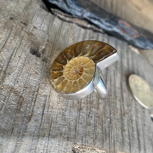 Sterling Silver Ammonite Adjustable Ring