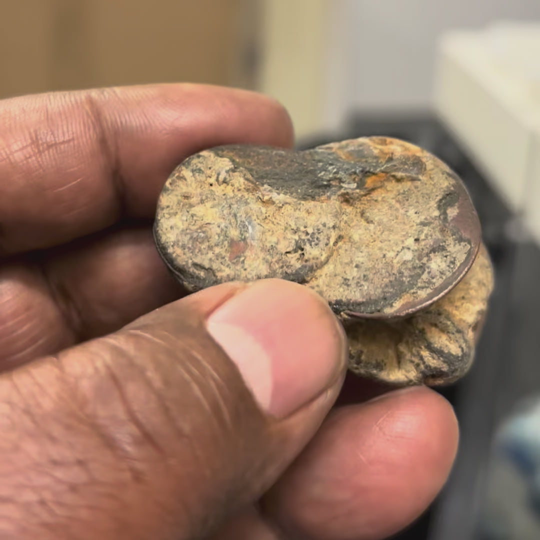 Admiral Gardner Shipwreck - East India Company Coin - Dated 1808 - (Rare Clump of 6 to 10 coins)