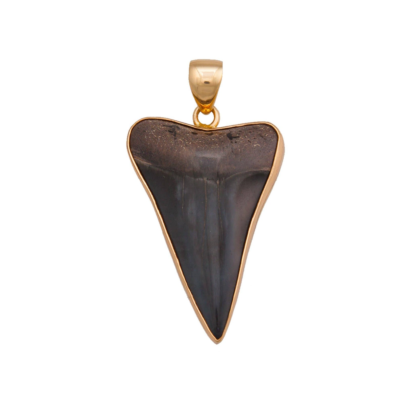 Fossil Shark Tooth Pendant