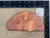 Atocha 1622 Shipwreck - Copper Slice Ingot #11 - Weight 730 grams