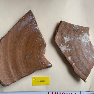 Nuestra Señora de Atocha Shipwreck - Ceramic Botijas (Olive jar sherd)