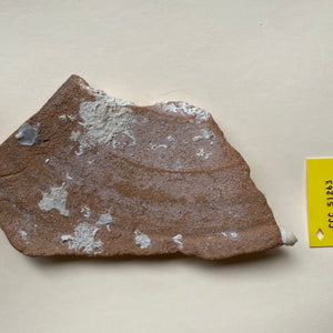 Nuestra Señora de Atocha Shipwreck - Ceramic Botijas (Olive jar sherd)