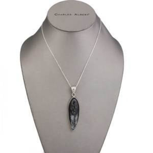 Sterling Silver Orthoceras Pendant