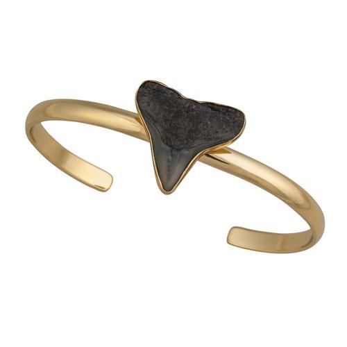 Fossil Bull Shark Tooth -  Presented in as a bracelet - Alchemia metal alloy
